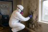 Certified Mold Removal in Kingman and Surrounding Areas