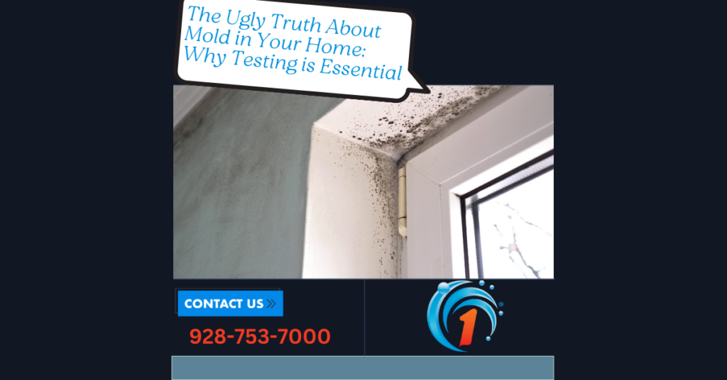 Discover the risks mold poses to your health and home, and learn why professional mold testing is crucial. Protect your home and health from hidden dangers.