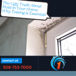 Discover the risks mold poses to your health and home, and learn why professional mold testing is crucial. Protect your home and health from hidden dangers.