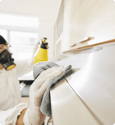  Certified Mold Specialists Bullhead City, AZ